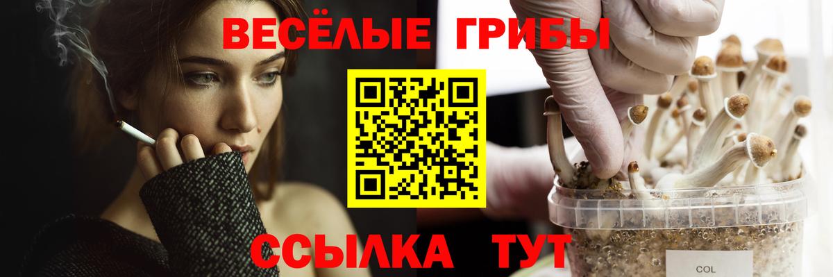 Тейково  Псилоцибиновые грибы прущие грибы  Вход с VPN 